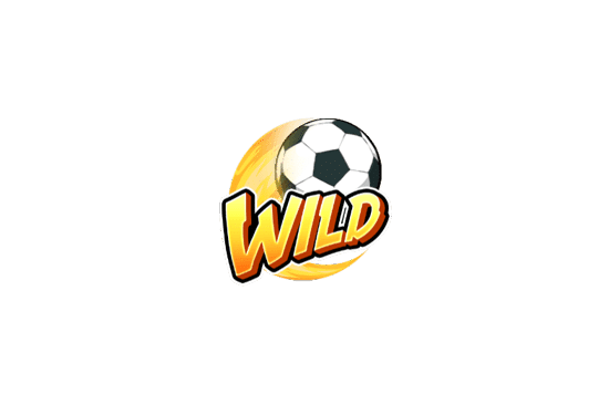 สัญลักษณ์ Wild Shaolin Soccer