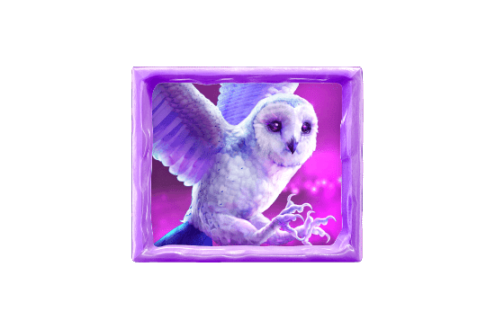 สัญลักษณ์ Owl