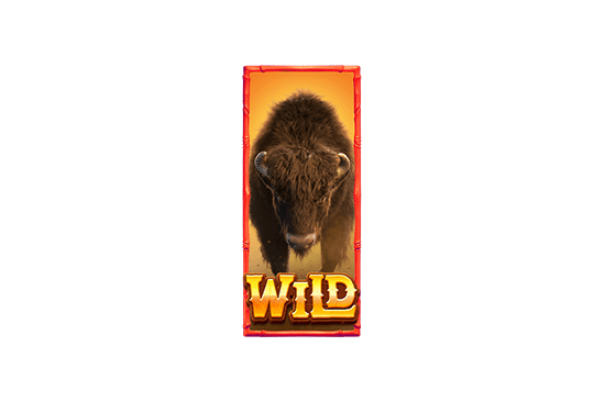 สัญลักษณ์ Wild Buffalo Win
